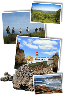 Wandelreis Madeira, 10 dagen