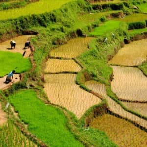Rondreis Indonesië, 40 dagen