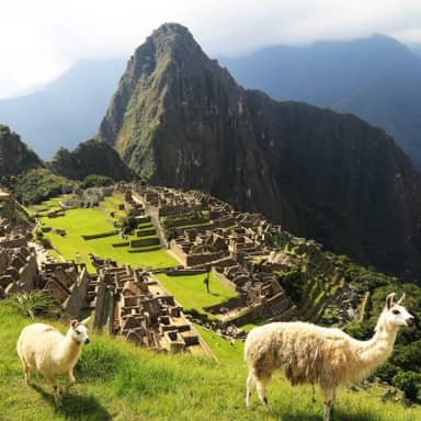 Rondreis Peru met Amazone, 24 dagen
