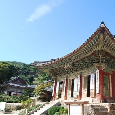 Rondreis Zuid-Korea, 15 dagen