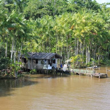 Rondreis BraziliÃ« Amazone, 15 dagen