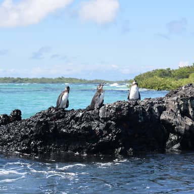 Rondreis Ecuador & Galapagos, 21 dagen