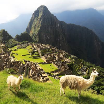 Rondreis Peru, 14 dagen