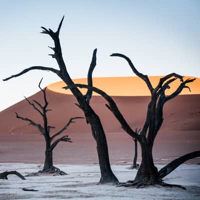Rondreis Namibië, 21 dagen lodge/hotelreis