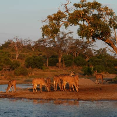 Rondreis Zuid-Afrika, Botswana & Zimbabwe, 21 dagen kampeer of hotel/lodge reis
