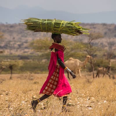 Rondreis Kenia & Tanzania, 18 dagen lodge/hotelreis