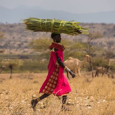 Rondreis Kenia & Tanzania, 18 dagen lodge/hotelreis