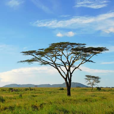 Rondreis Tanzania & Zanzibar, 15 dagen lodge/kampeerreis