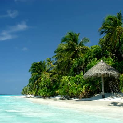 Rondreis Sri Lanka & Malediven, 21 dagen
