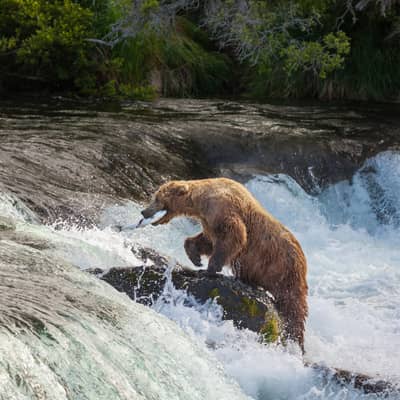 Rondreis Alaska, 21 dagen hotel/cabinreis