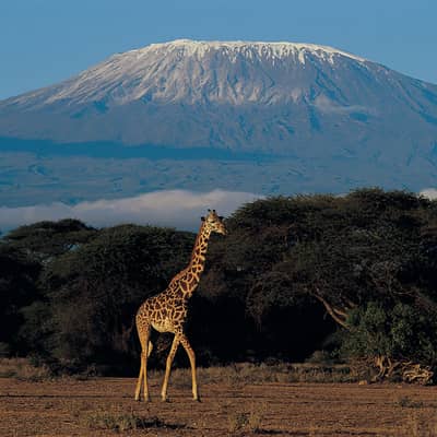 Tanzania & Zanzibar, 15 dagen