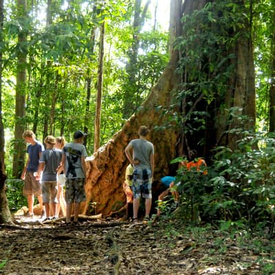 Suriname, 20 dagen
