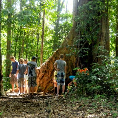 Suriname, 20 dagen
