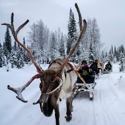 Lapland, 7 dagen