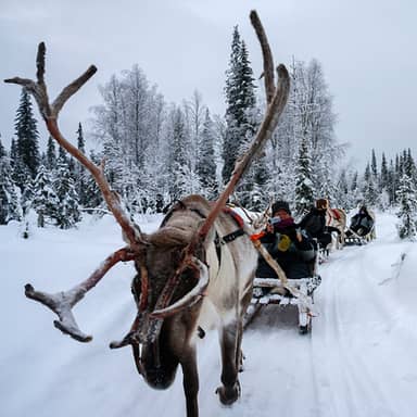 Lapland, 7 dagen