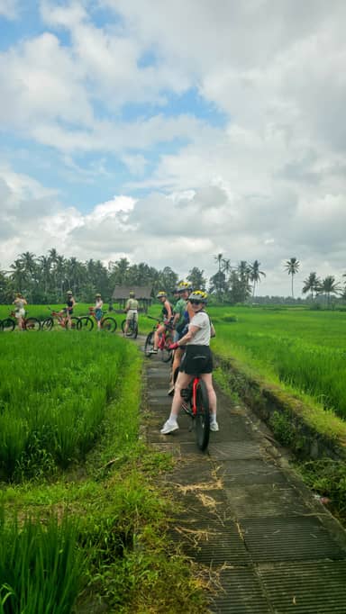 22-35ers reis Indonesië: Bali en Lombok