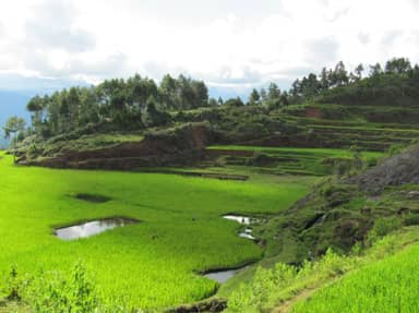 Groepsrondreis Sulawesi