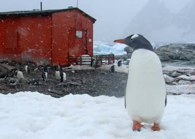 Groepsrondreis Antarctica - Crossing the Circle - Zuidelijke expeditie