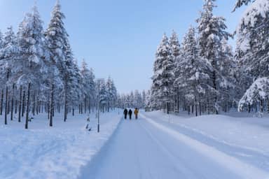 22-35ers reis Lapland