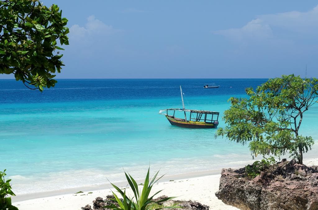 12 daagse safari Selous & Zanzibar deluxe