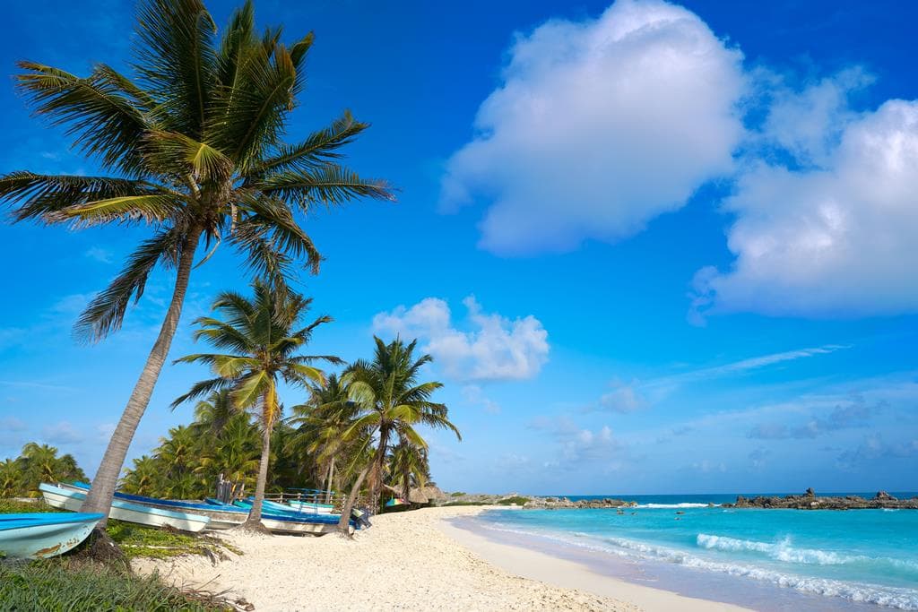 8 dg cruise Caribische Zee MSC Grandiosa
