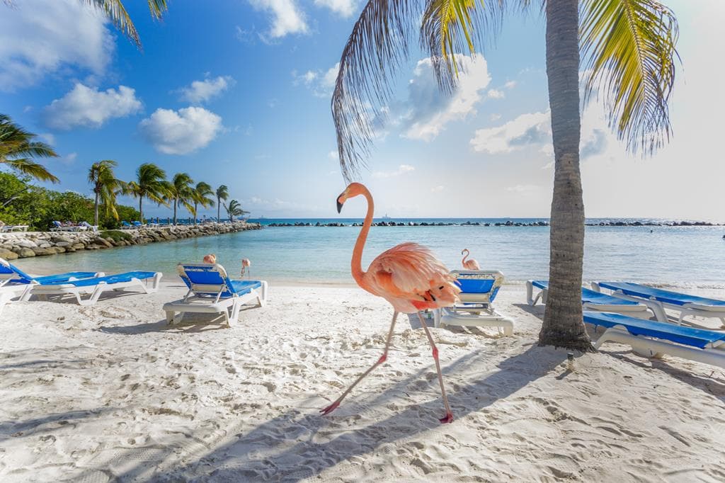 9 dg cruise Caribische Zee Celebrity Beyond