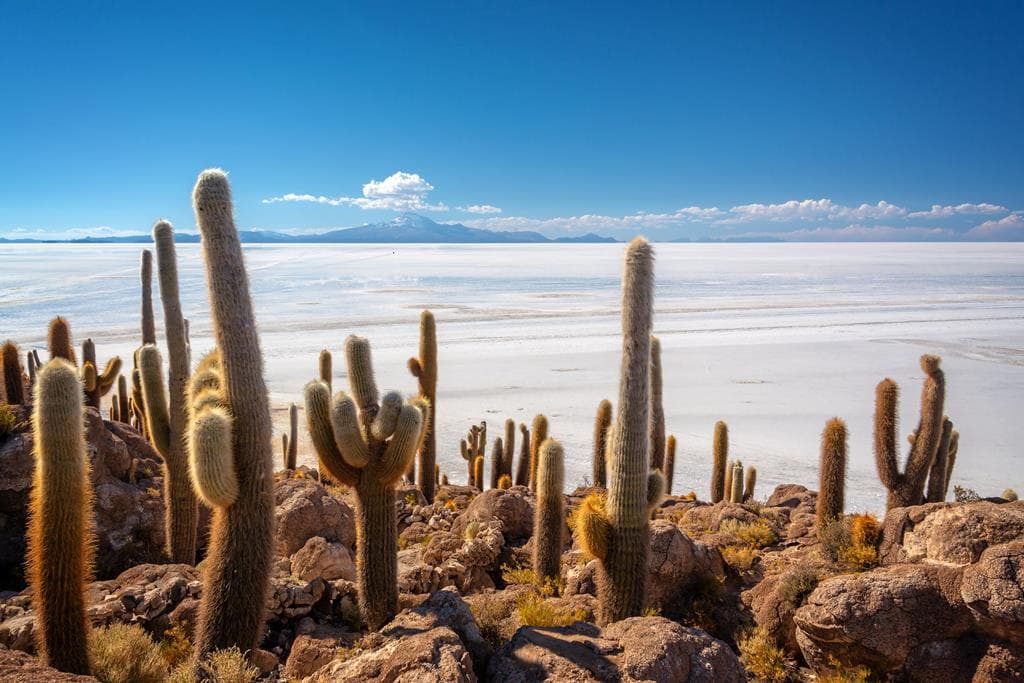 20-daagse rondreis Peru & Bolivia