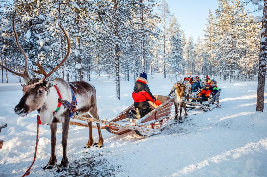 8 daagse excursiereis Yllas has it all