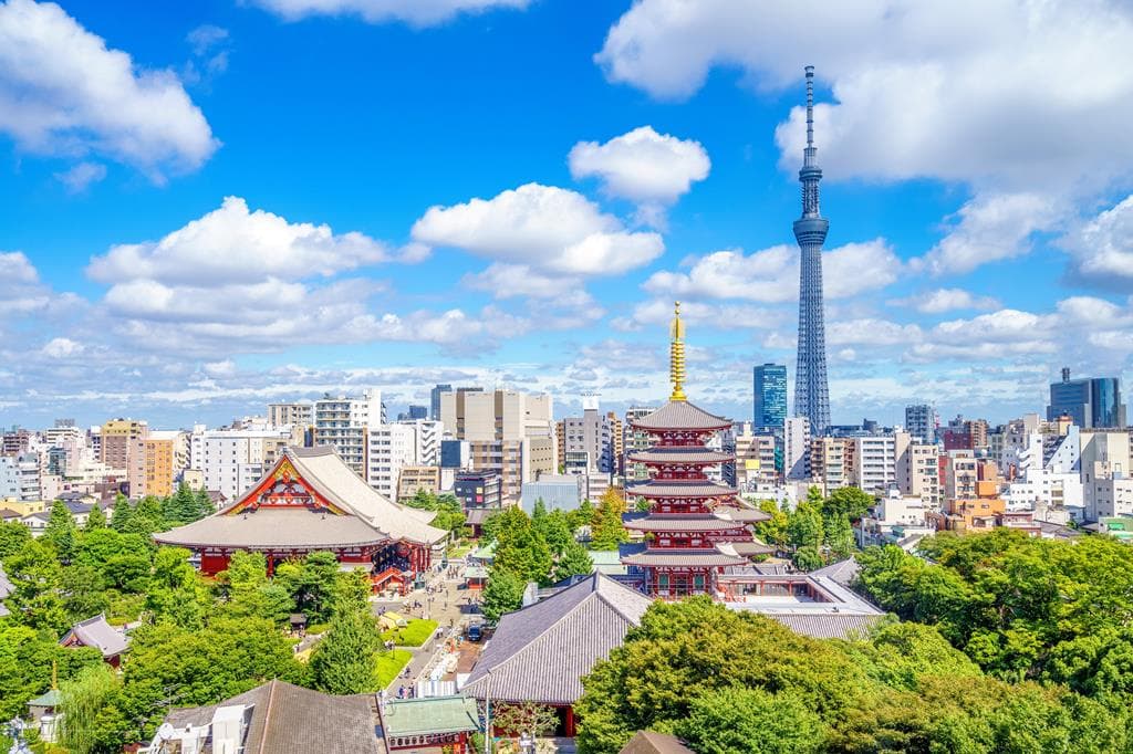 18 dg cruise Japan Noordam