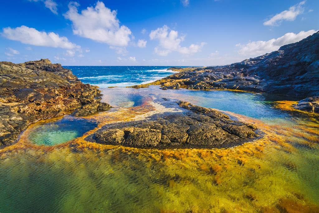 15 dg cruise Canarische Eilanden Nieuw Statendam