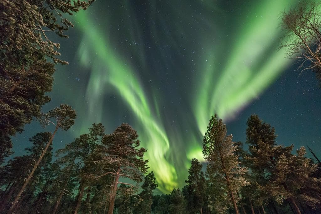 4 daagse excursiereis Muotka Wilderness Week