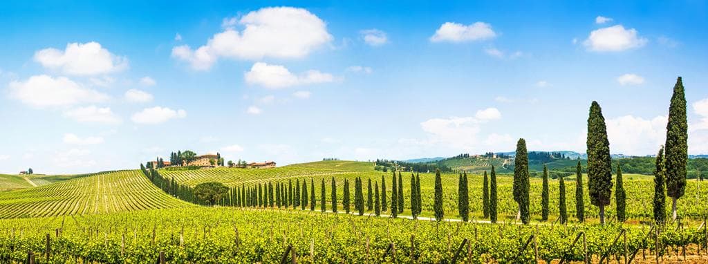 8-daagse rondreis Parels van Toscane