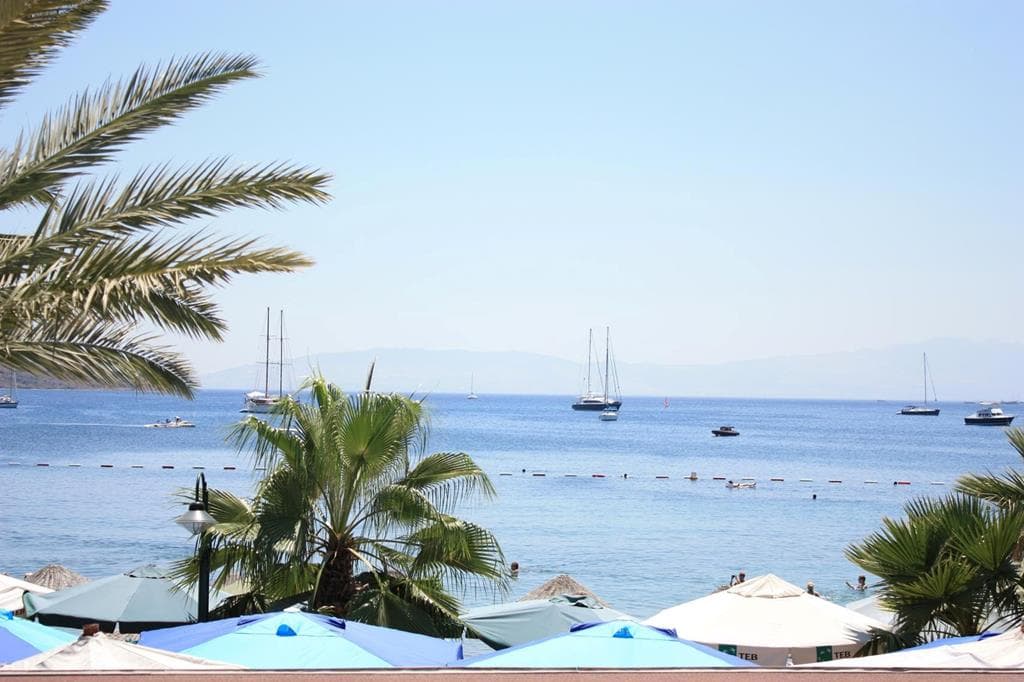 Toloman