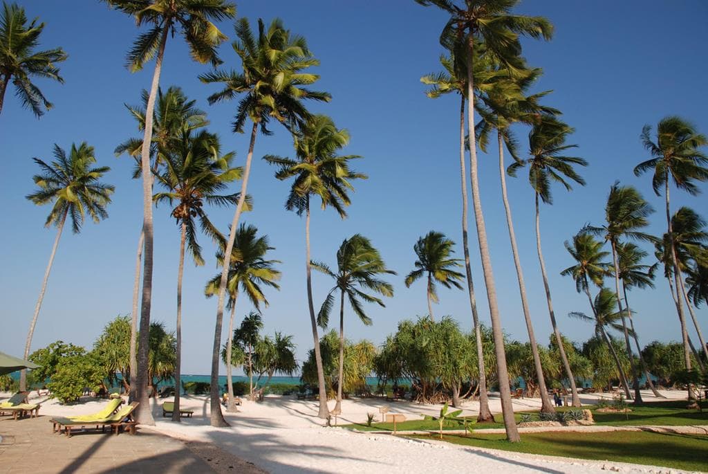 13 daagse safari The Mombasa Rendez Vous
