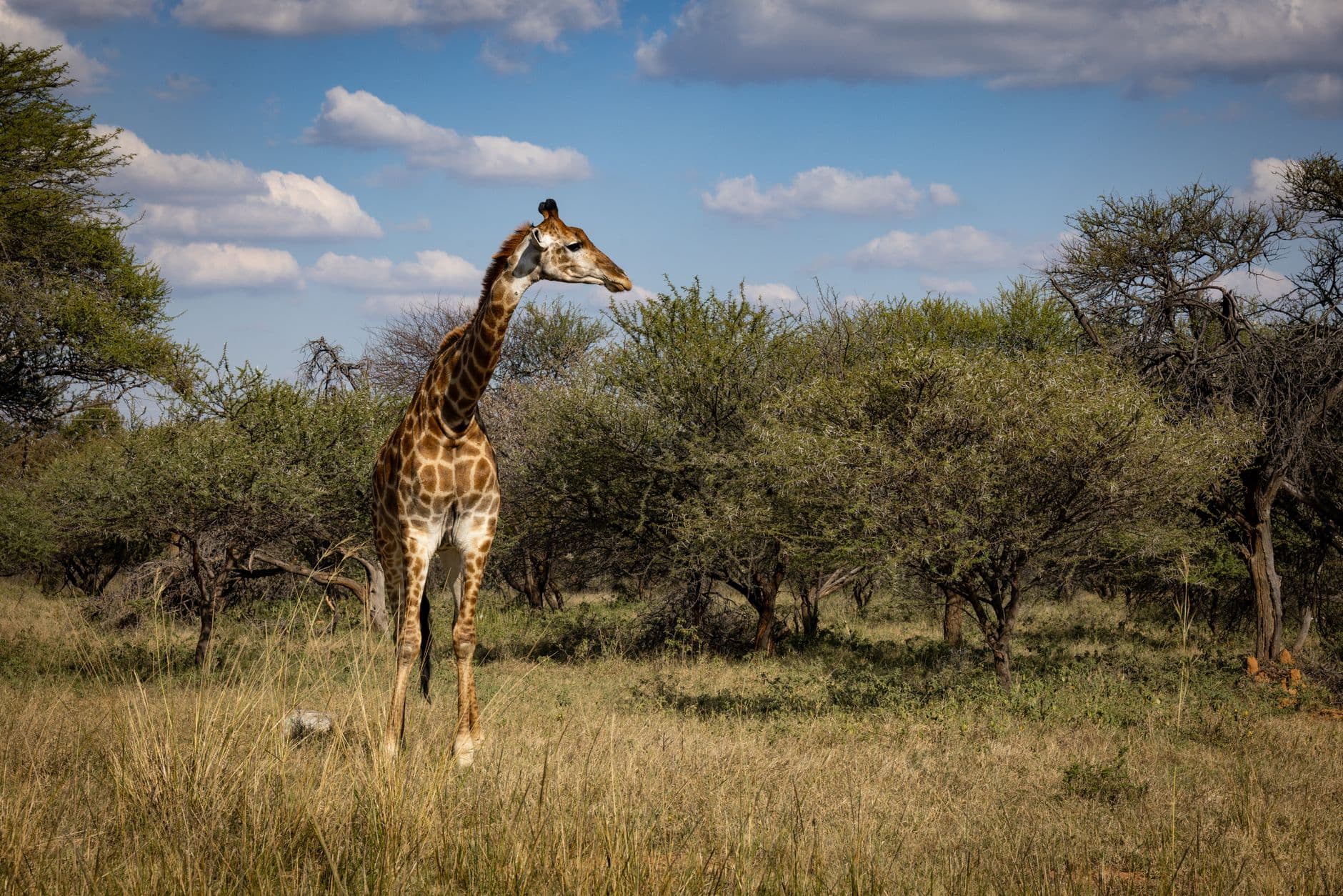 Botswana