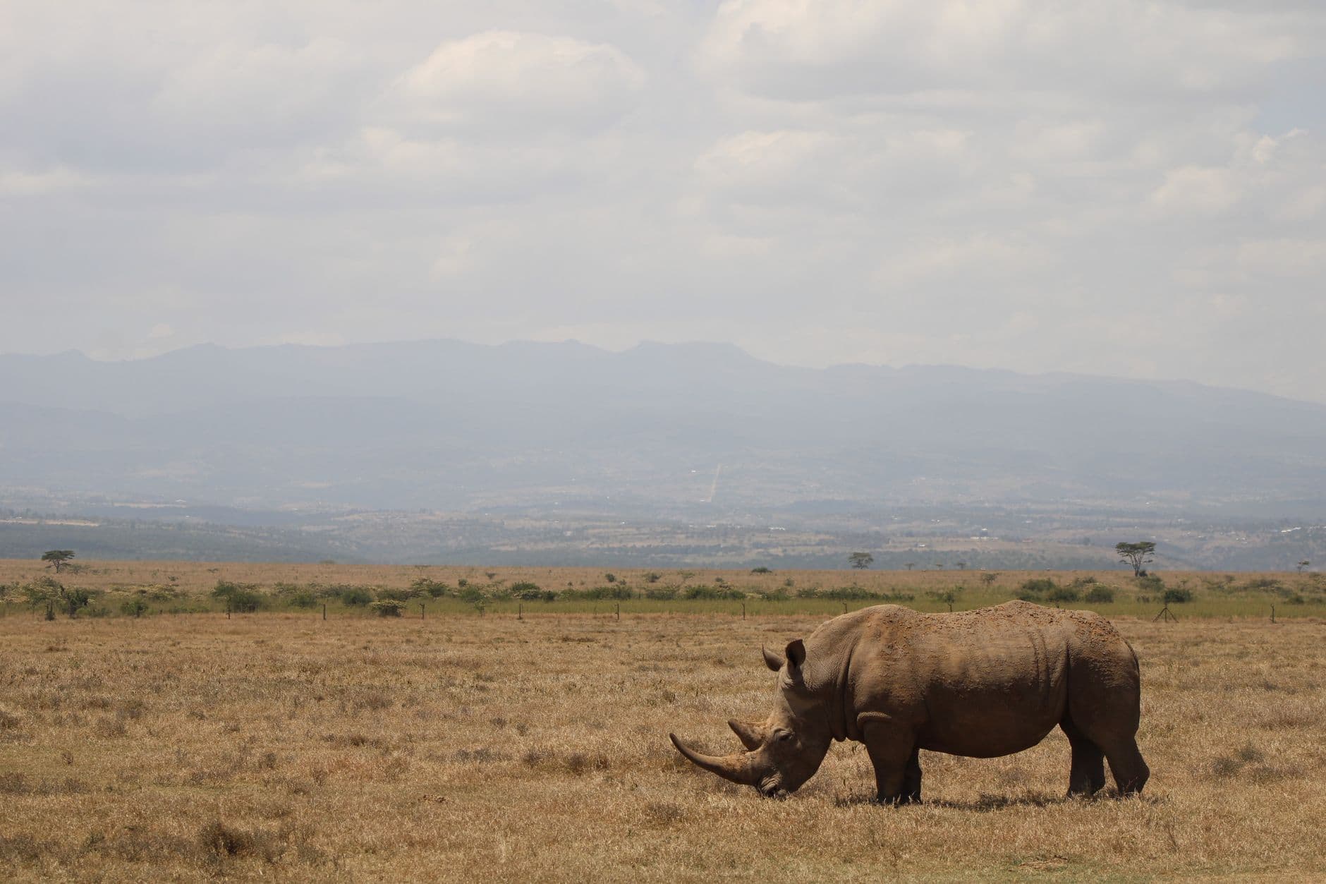 Kenia