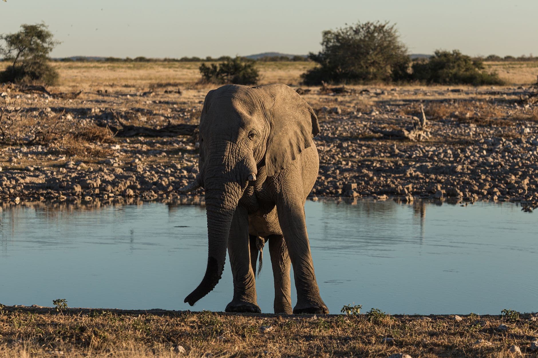 Namibië