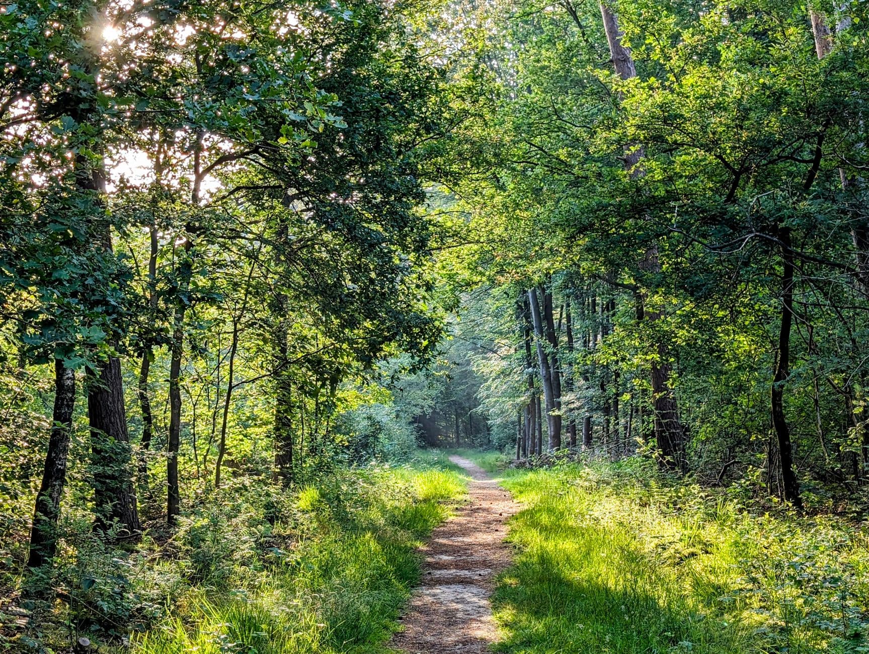 Gelderland, Nederland
