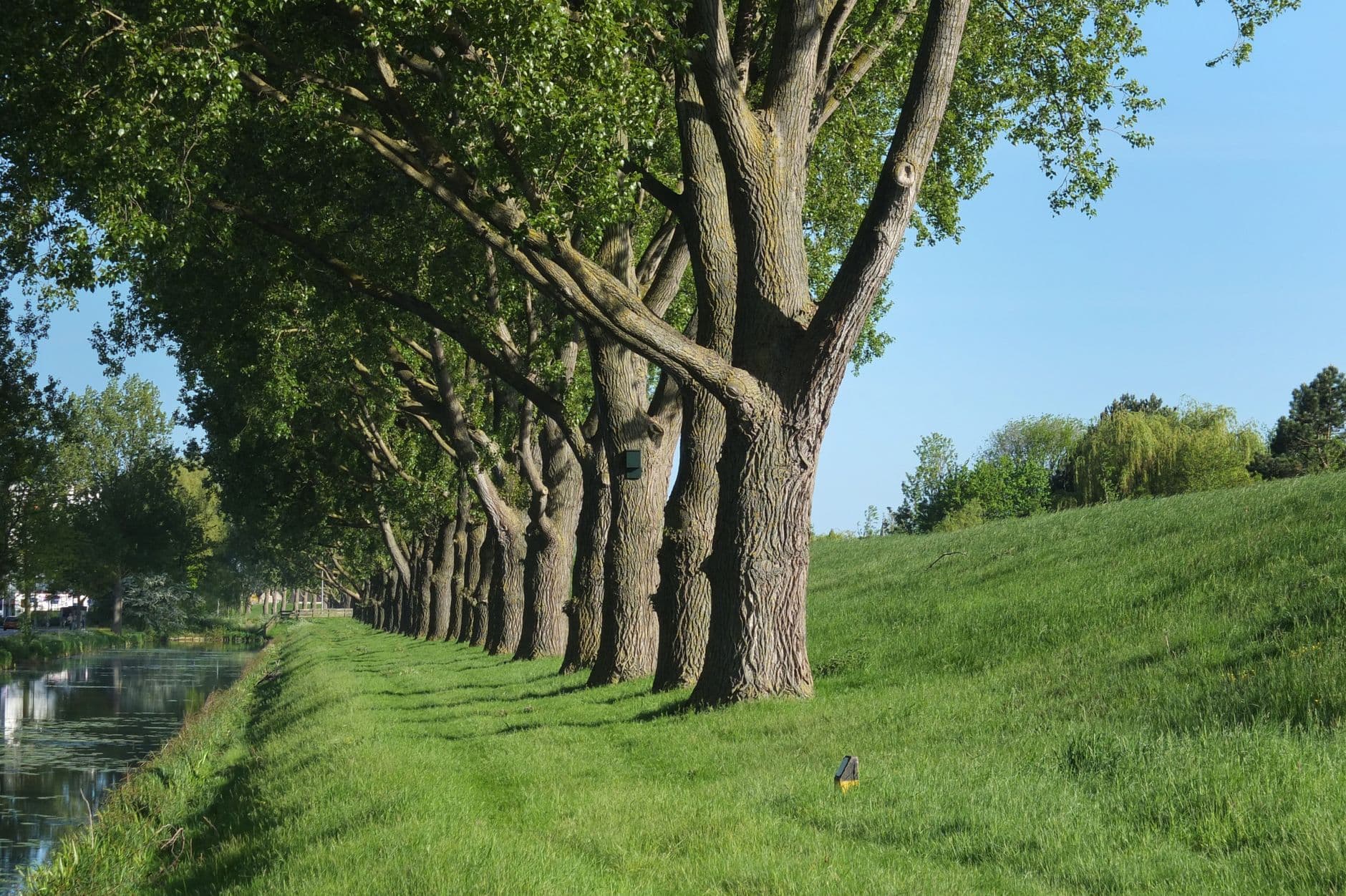 Noord-Holland, Nederland