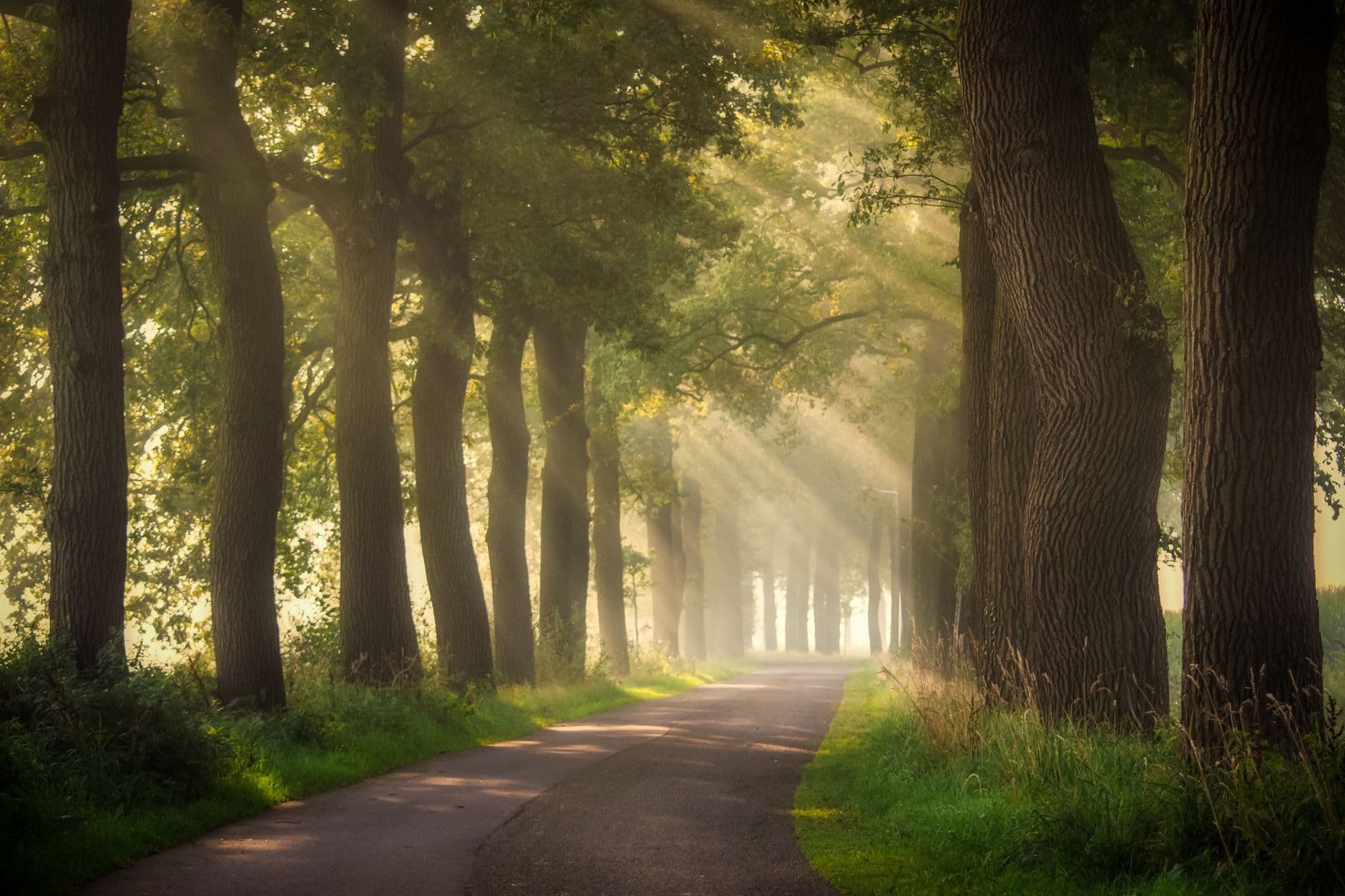 Overijssel, Nederland