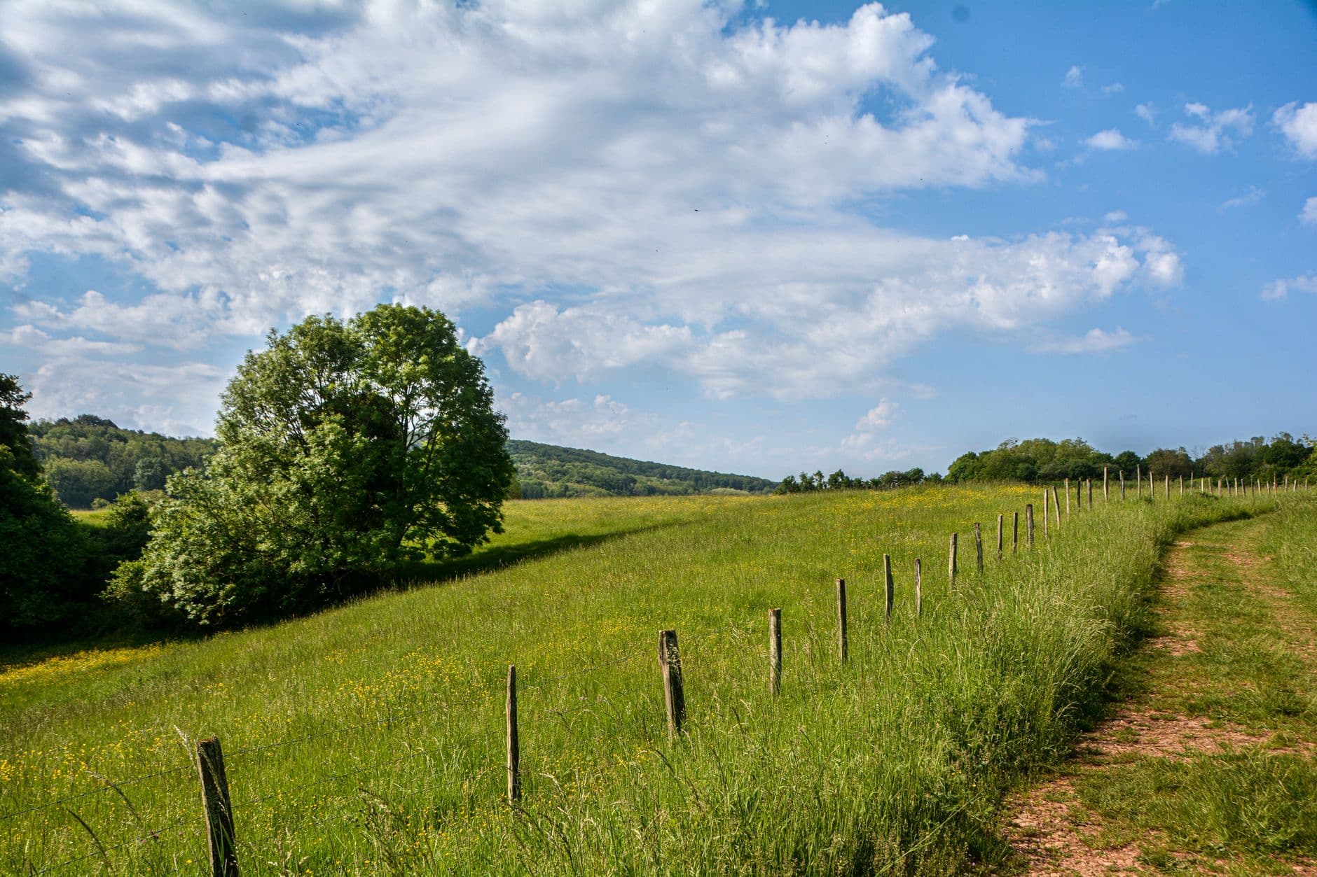 Bourgogne-Franche-Comté, Frankrijk