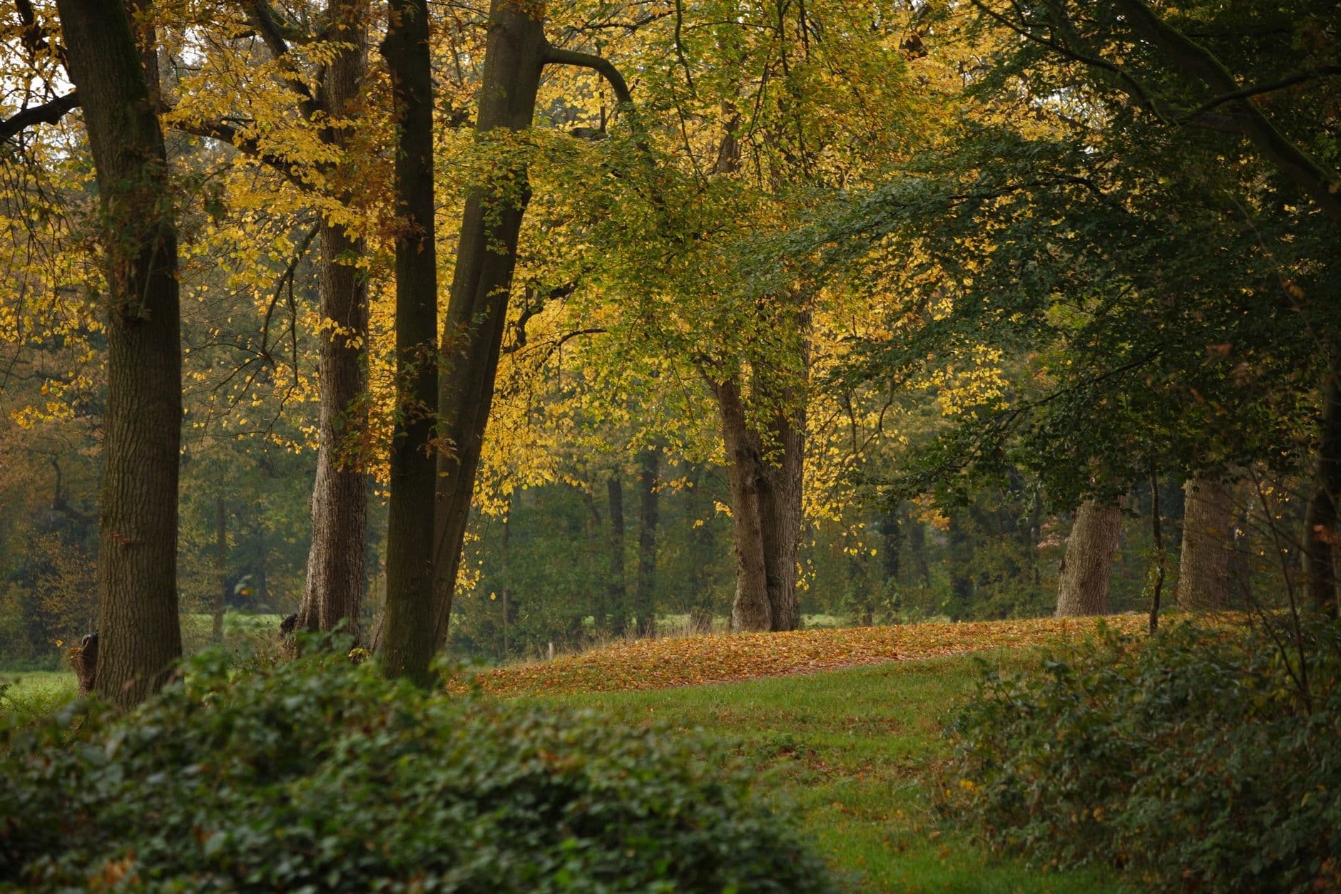 Flevoland - Overijssel - Utrecht - Gelderland, Nederland