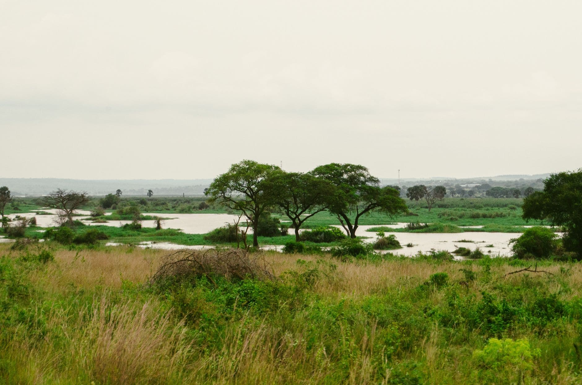 Het landschap van Oeganda