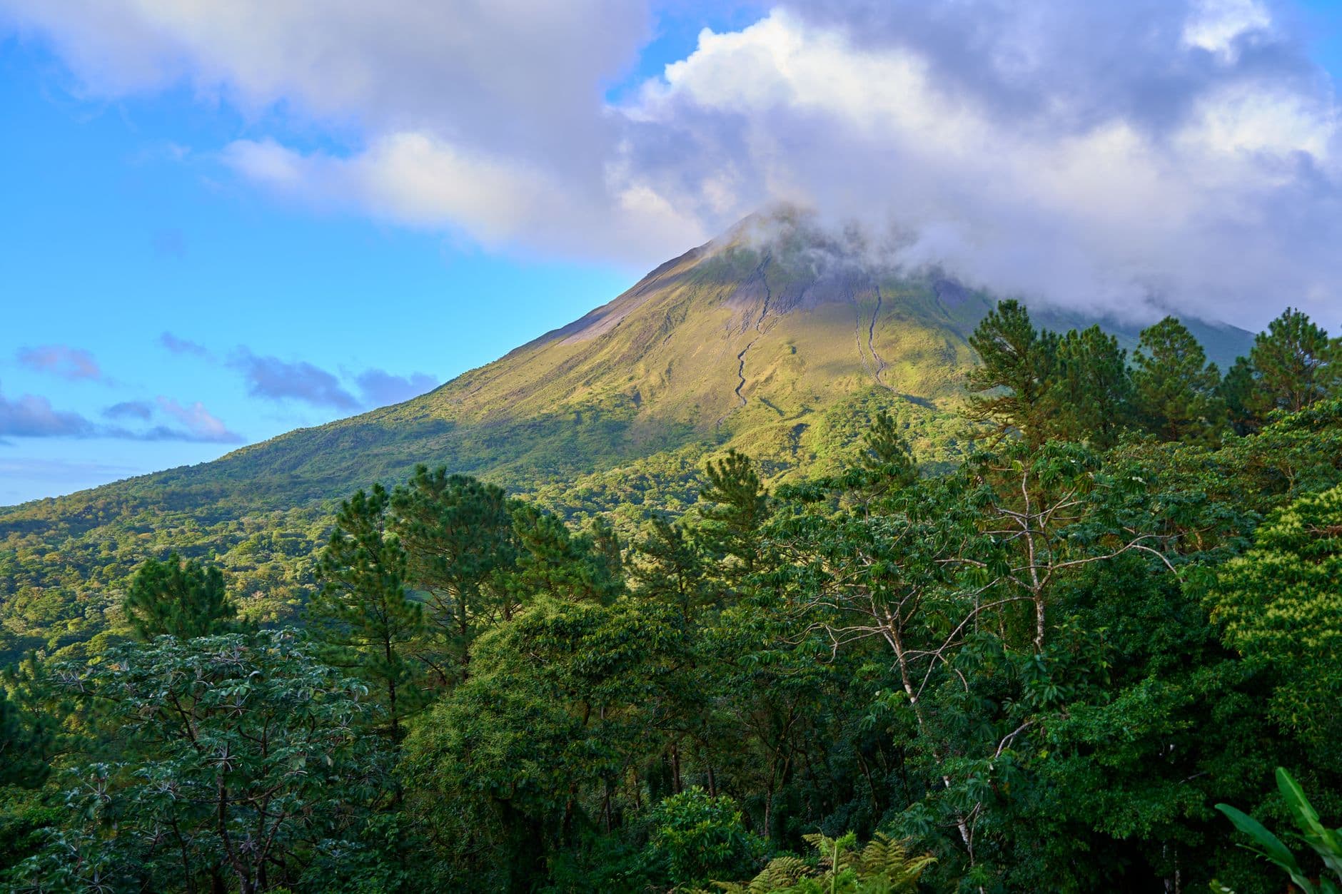 Regenwoud in Costa Rica
