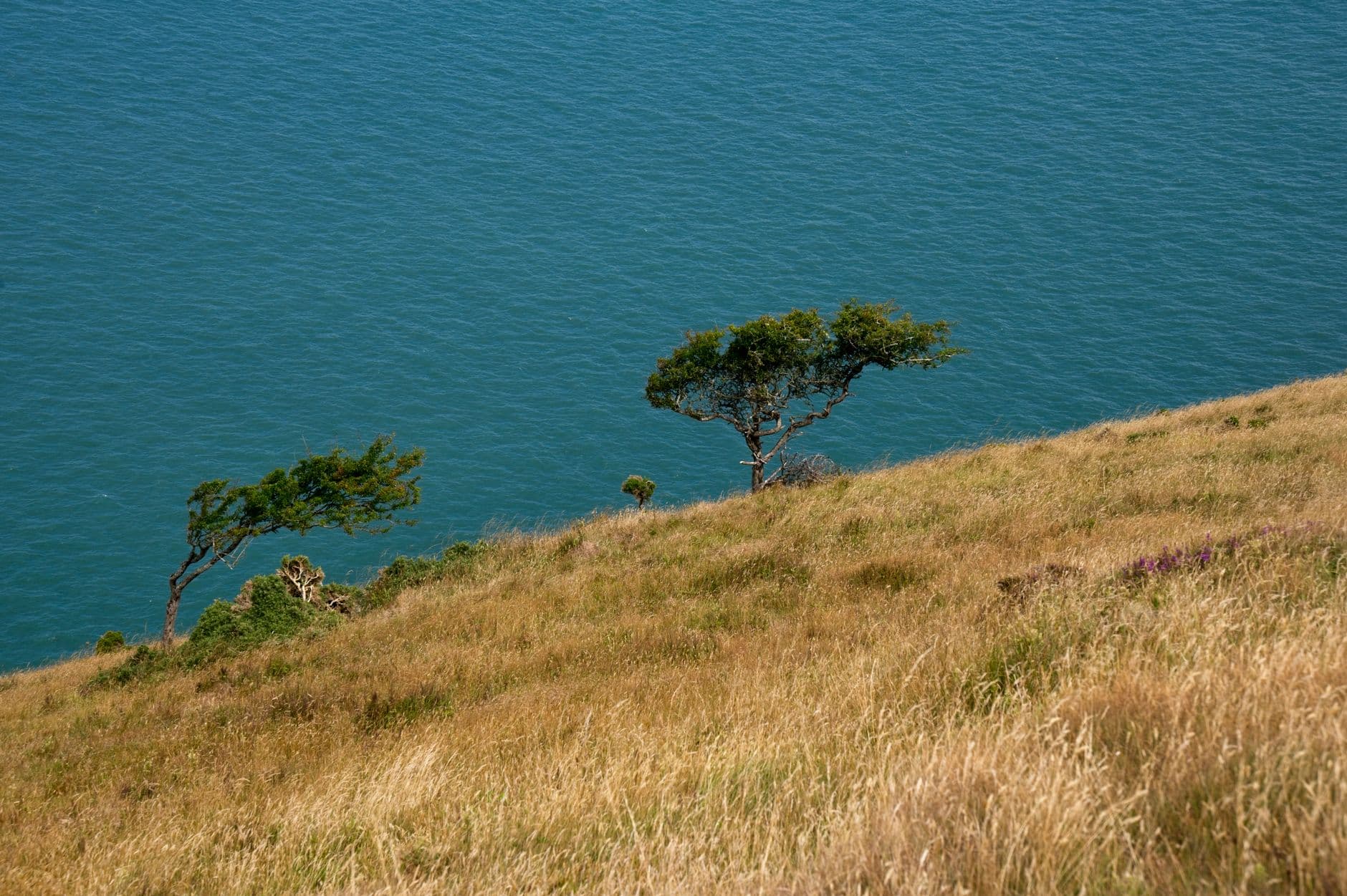 Devon, Verenigd Koninkrijk