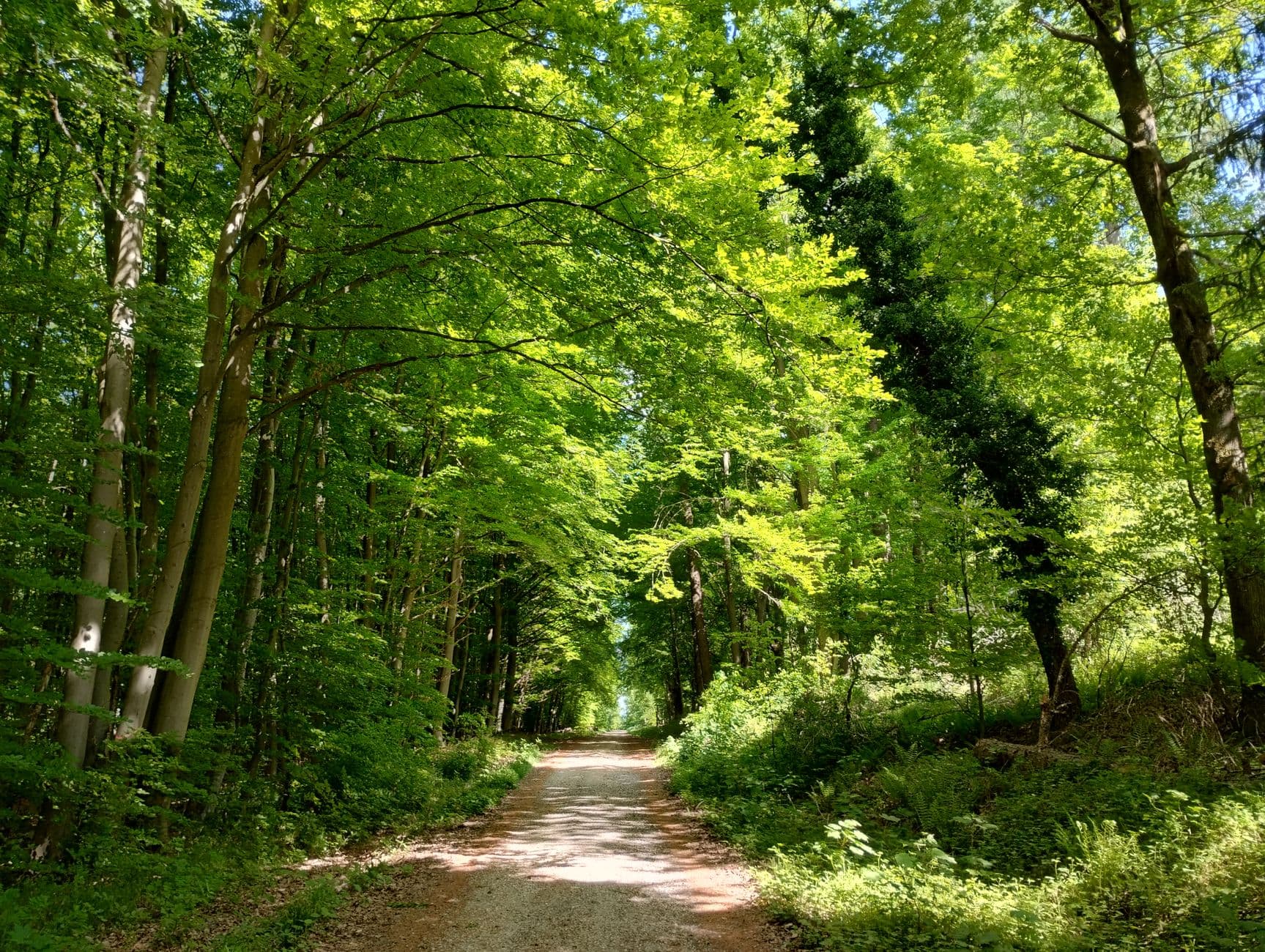 Hessen, Duitsland