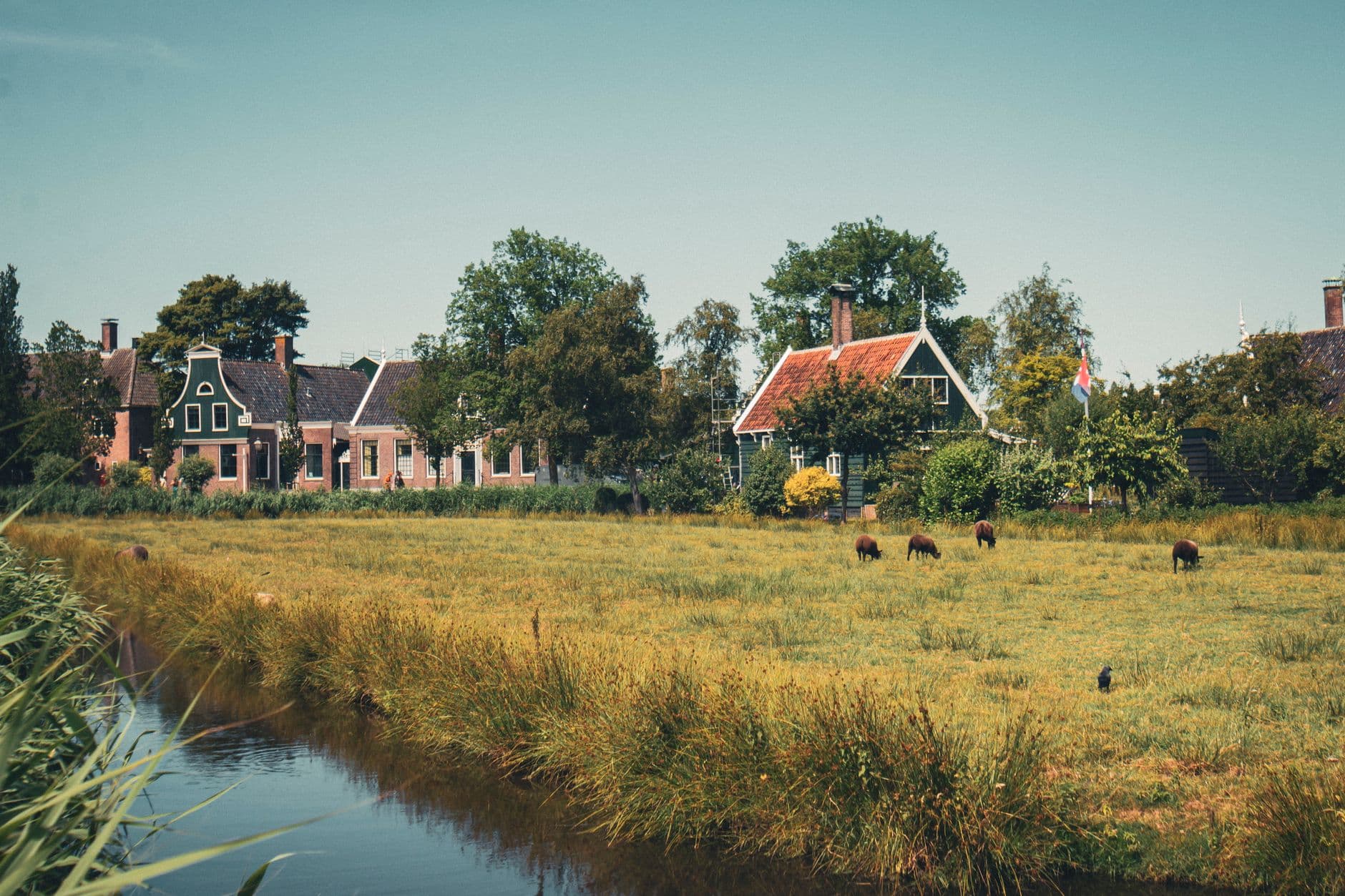 Nederland
