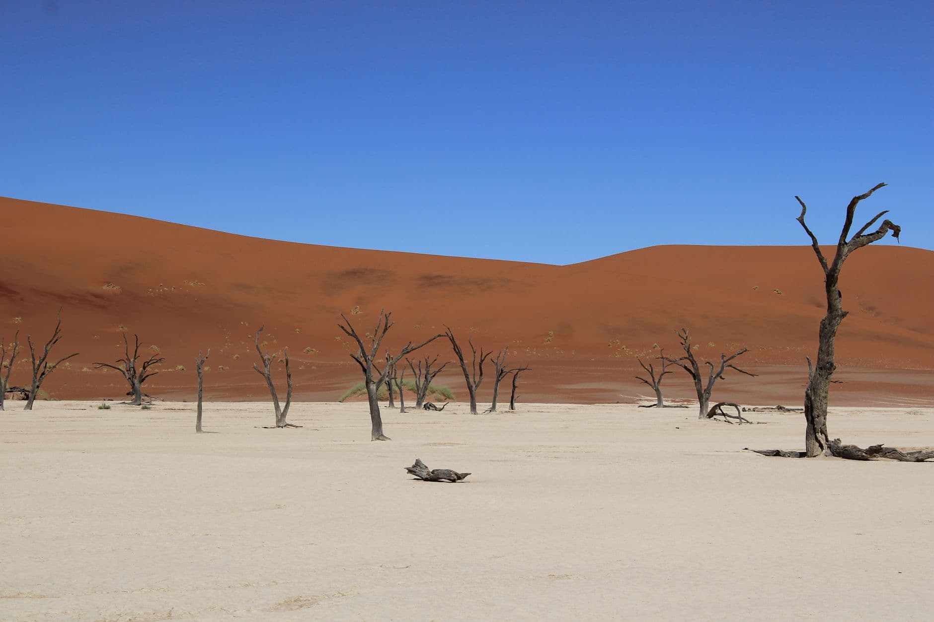 De duinen van Sossusvlei in Namibië