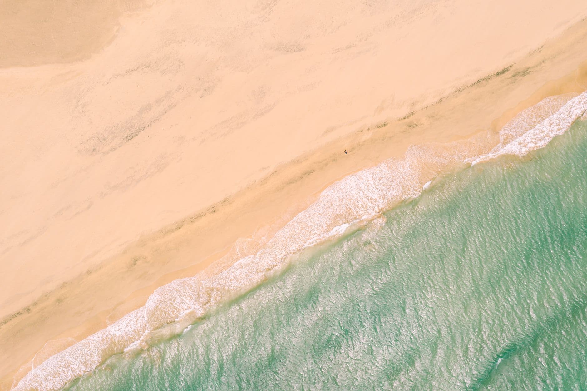 Transavia Fuerteventura