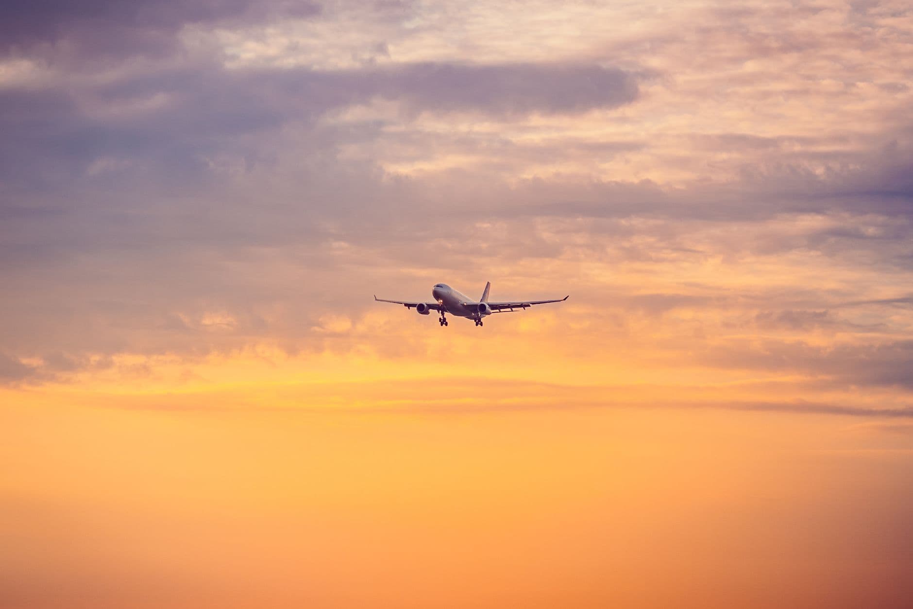 Transavia naar Wenen